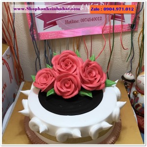 Bánh Sinh Nhật Sữa Tươi - AA111